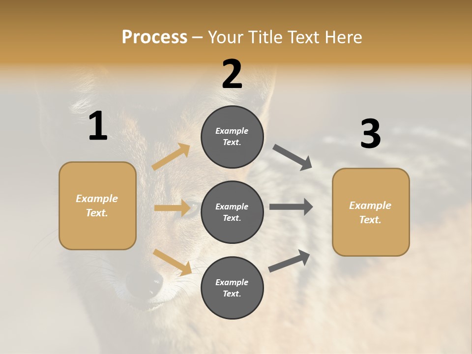Silverbacked Canid Dog PowerPoint Template