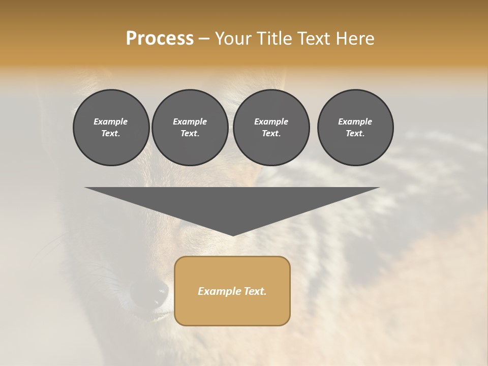 Silverbacked Canid Dog PowerPoint Template