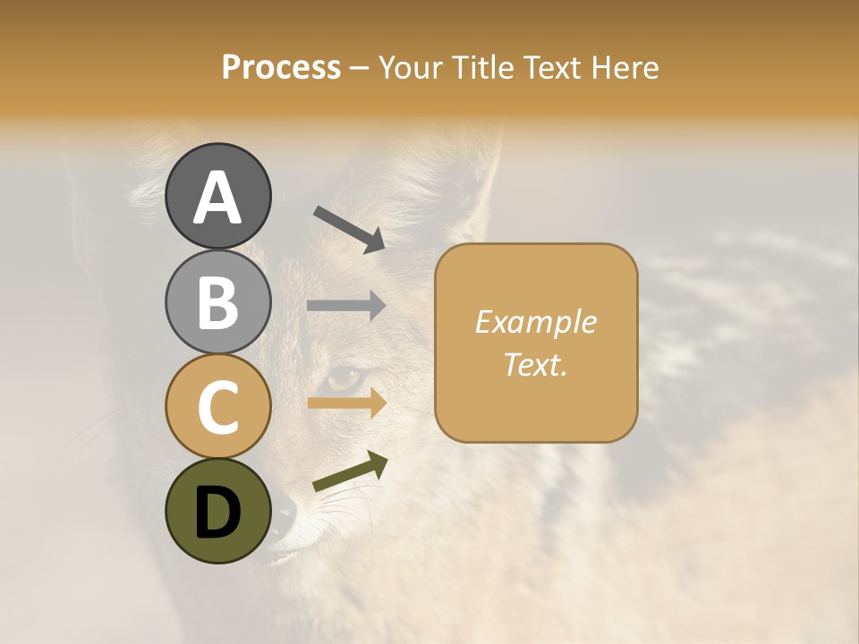 Silverbacked Canid Dog PowerPoint Template