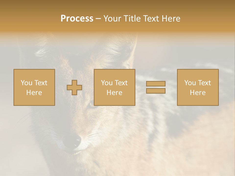 Silverbacked Canid Dog PowerPoint Template