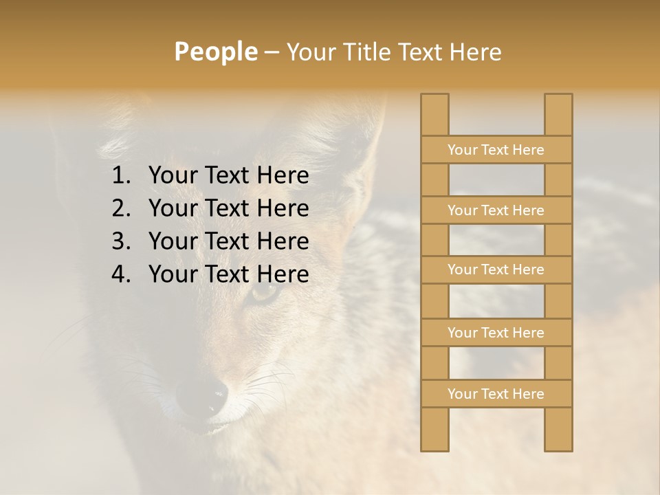 Silverbacked Canid Dog PowerPoint Template