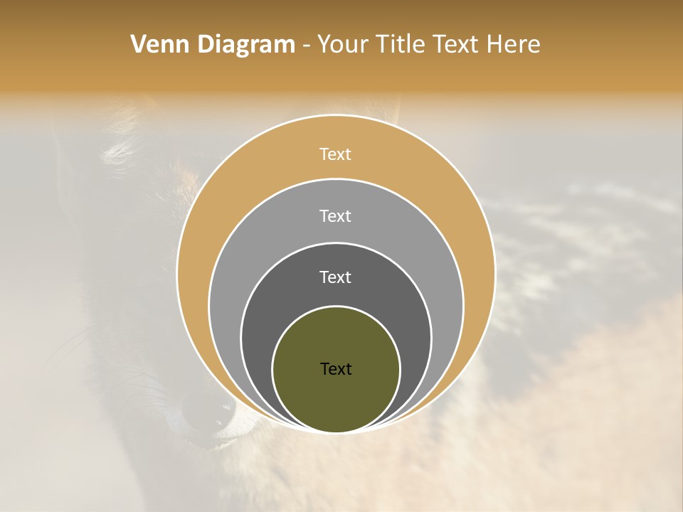 Silverbacked Canid Dog PowerPoint Template