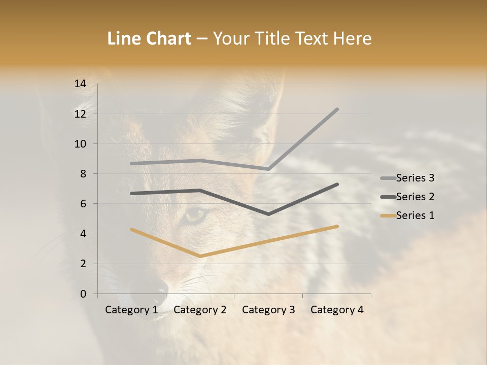 Silverbacked Canid Dog PowerPoint Template