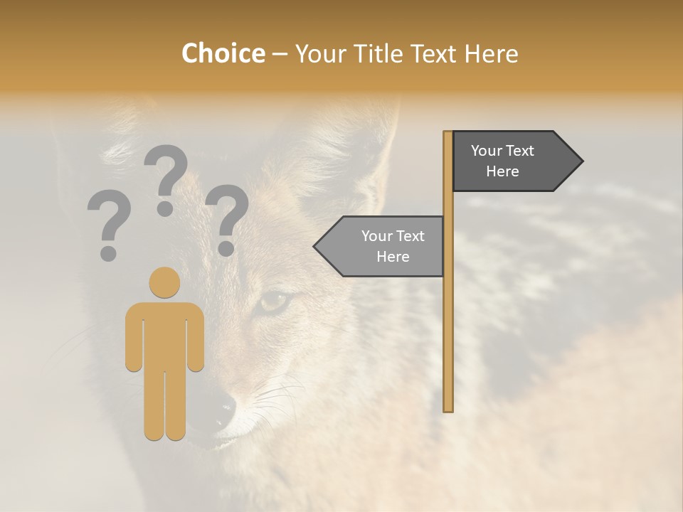 Silverbacked Canid Dog PowerPoint Template