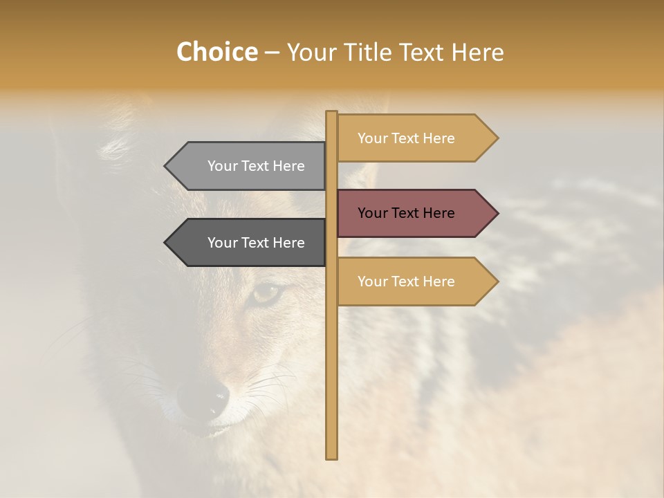 Silverbacked Canid Dog PowerPoint Template