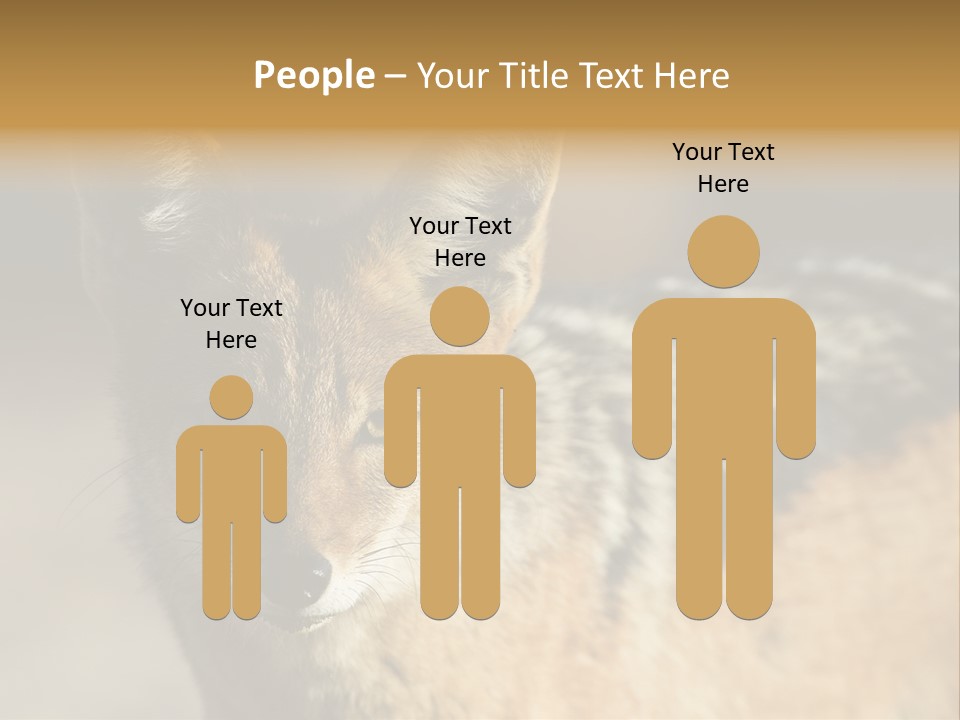 Silverbacked Canid Dog PowerPoint Template