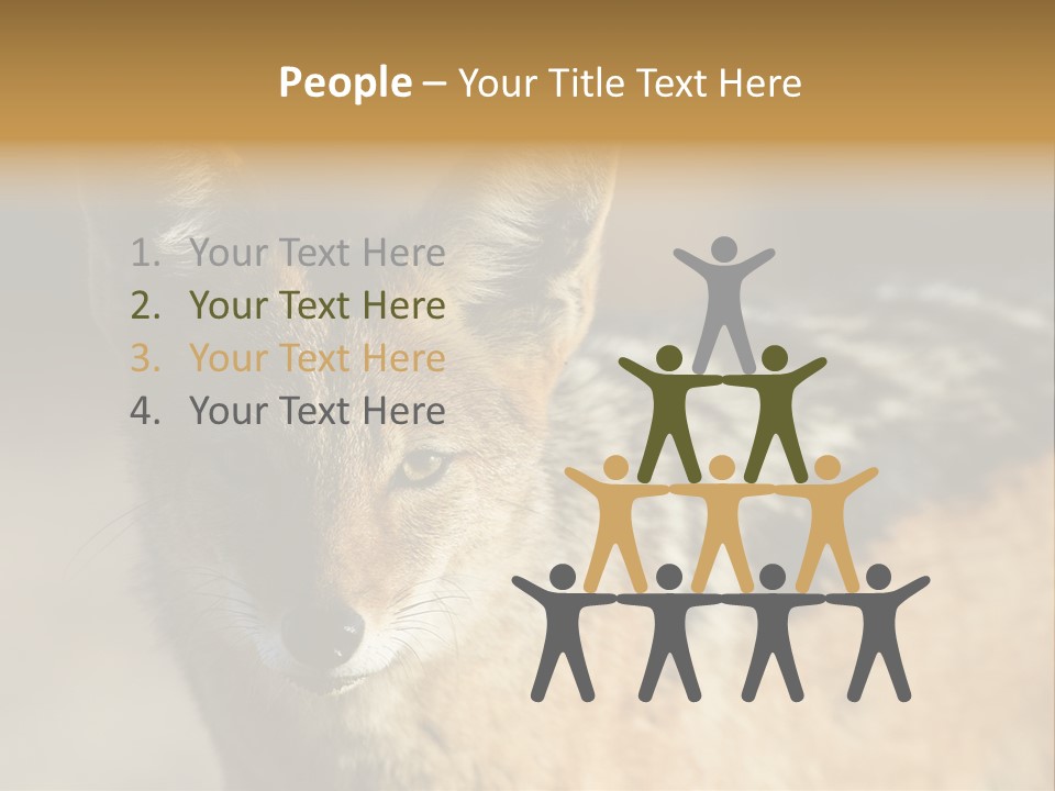 Silverbacked Canid Dog PowerPoint Template