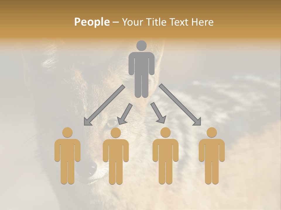 Silverbacked Canid Dog PowerPoint Template