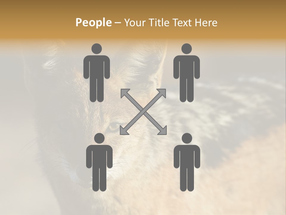 Silverbacked Canid Dog PowerPoint Template