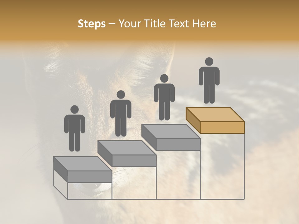 Silverbacked Canid Dog PowerPoint Template