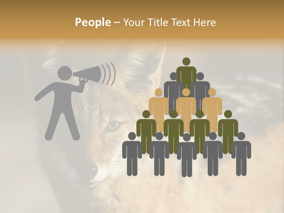 Silverbacked Canid Dog PowerPoint Template