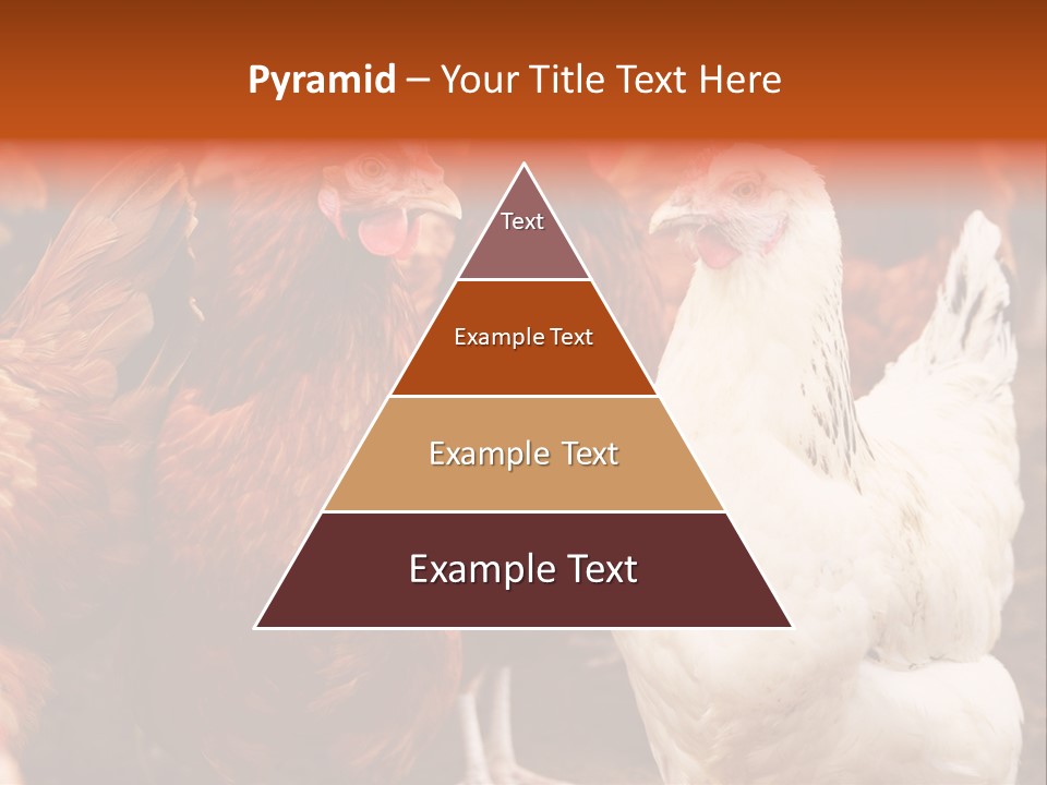 Alive Rural Laying PowerPoint Template