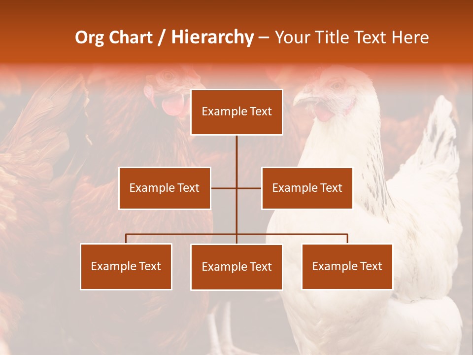 Alive Rural Laying PowerPoint Template
