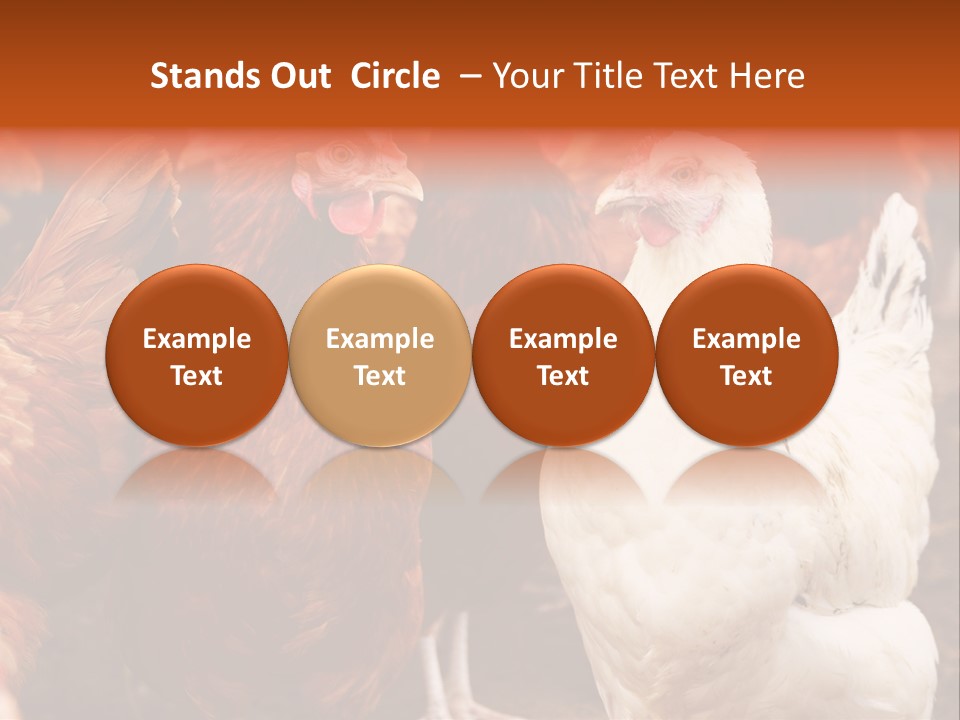 Alive Rural Laying PowerPoint Template