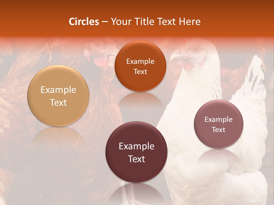 Alive Rural Laying PowerPoint Template
