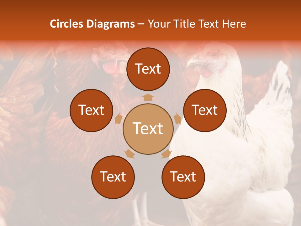 Alive Rural Laying PowerPoint Template