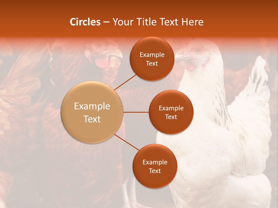 Alive Rural Laying PowerPoint Template