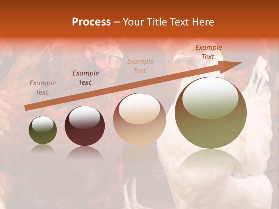 Alive Rural Laying PowerPoint Template