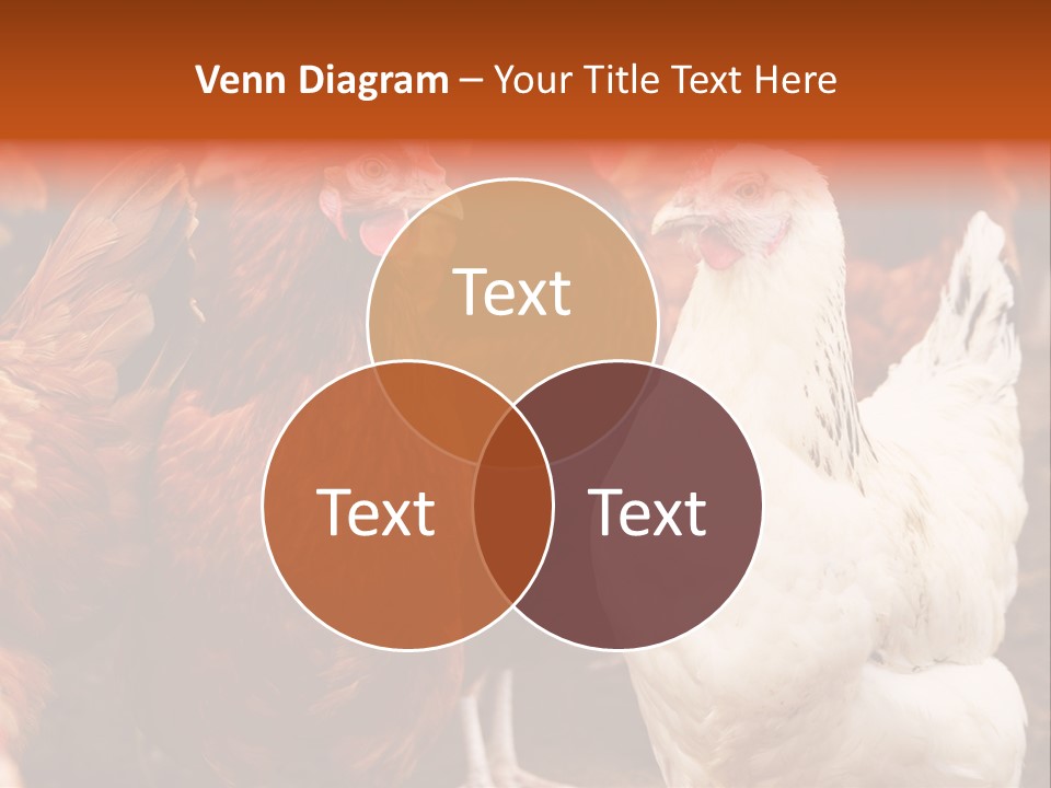 Alive Rural Laying PowerPoint Template