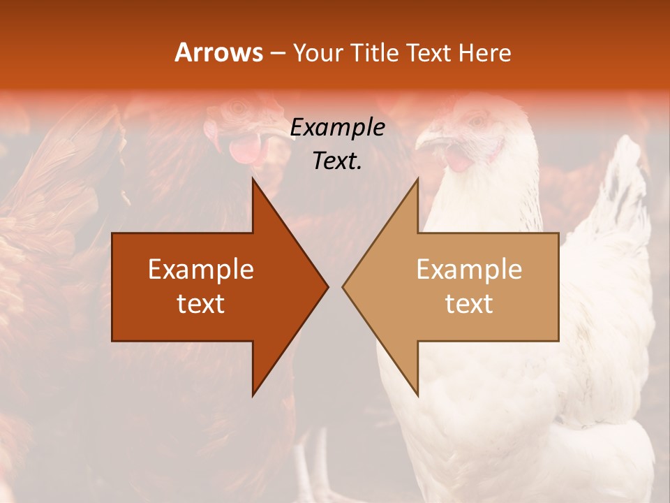 Alive Rural Laying PowerPoint Template
