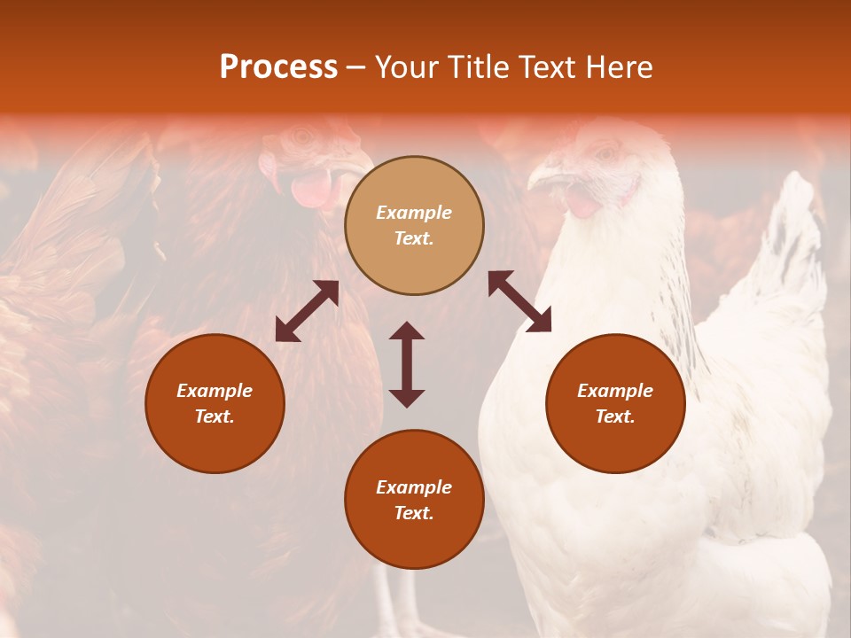 Alive Rural Laying PowerPoint Template