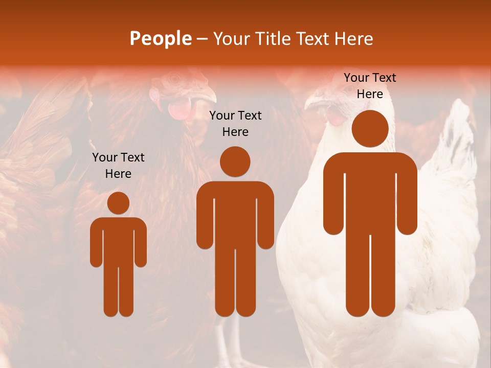 Alive Rural Laying PowerPoint Template