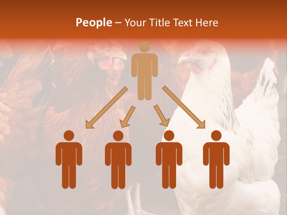 Alive Rural Laying PowerPoint Template