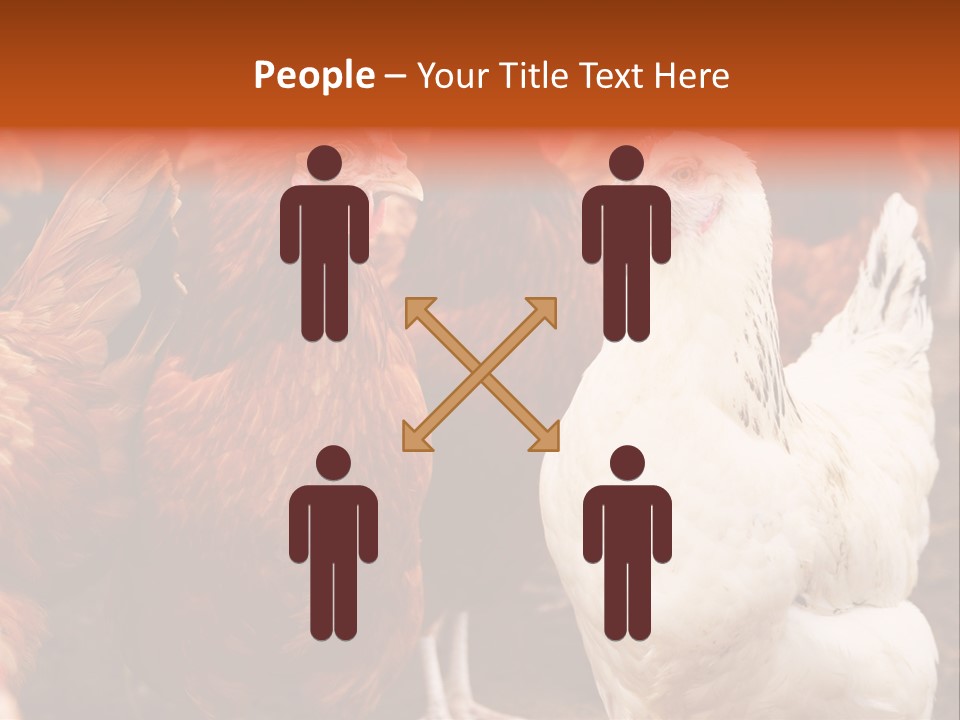 Alive Rural Laying PowerPoint Template