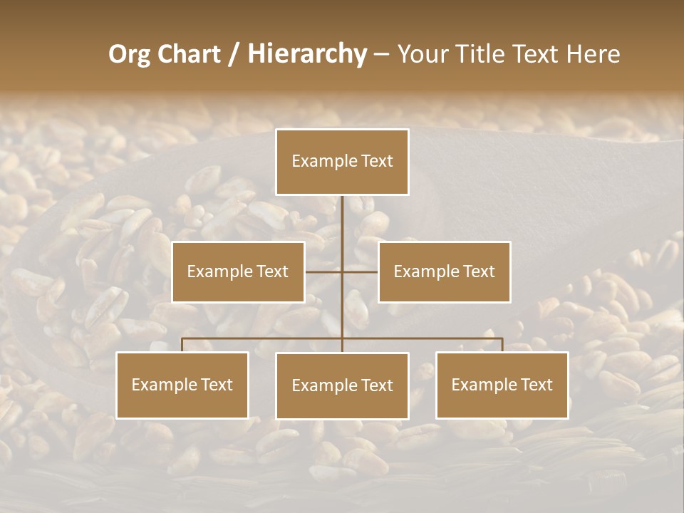 Cereals Zinc Wooden Spoon PowerPoint Template