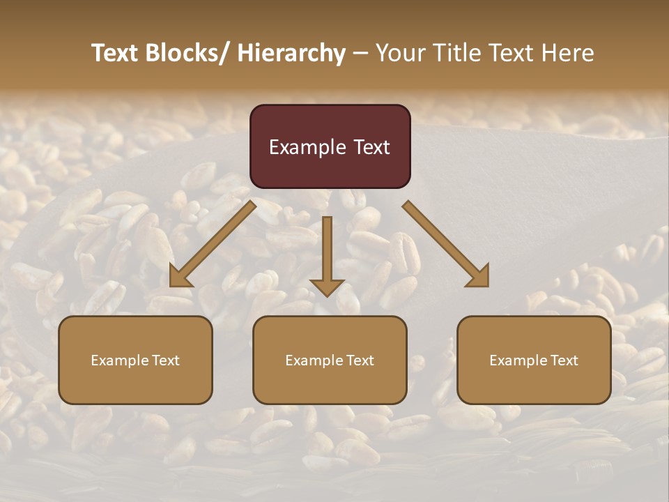 Cereals Zinc Wooden Spoon PowerPoint Template