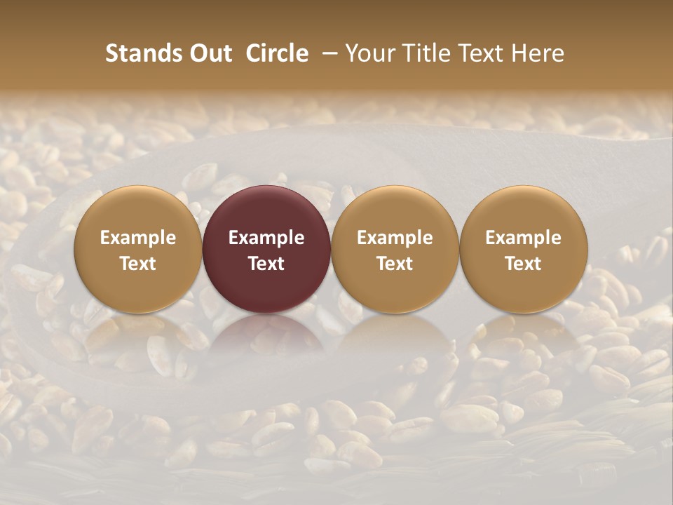 Cereals Zinc Wooden Spoon PowerPoint Template