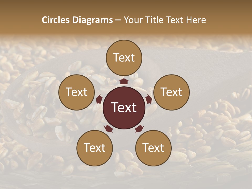 Cereals Zinc Wooden Spoon PowerPoint Template