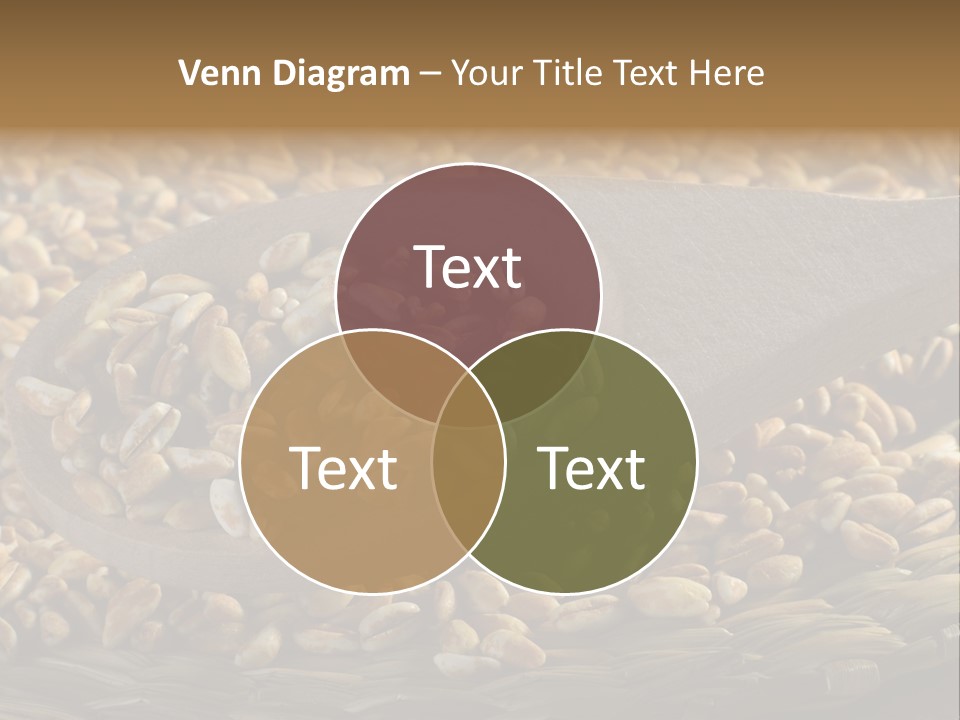 Cereals Zinc Wooden Spoon PowerPoint Template