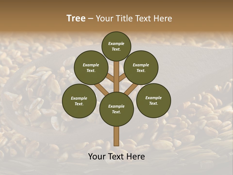 Cereals Zinc Wooden Spoon PowerPoint Template