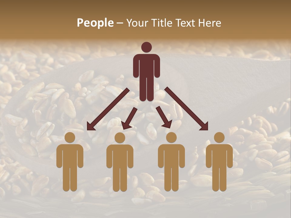 Cereals Zinc Wooden Spoon PowerPoint Template