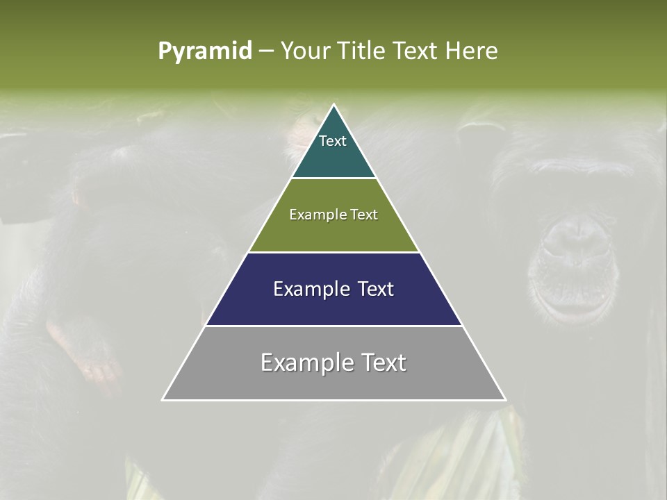 Baby Guard Outdoor PowerPoint Template