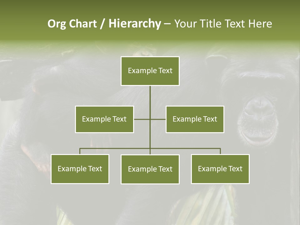 Baby Guard Outdoor PowerPoint Template