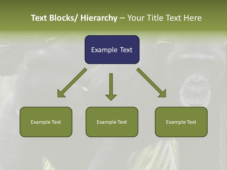 Baby Guard Outdoor PowerPoint Template