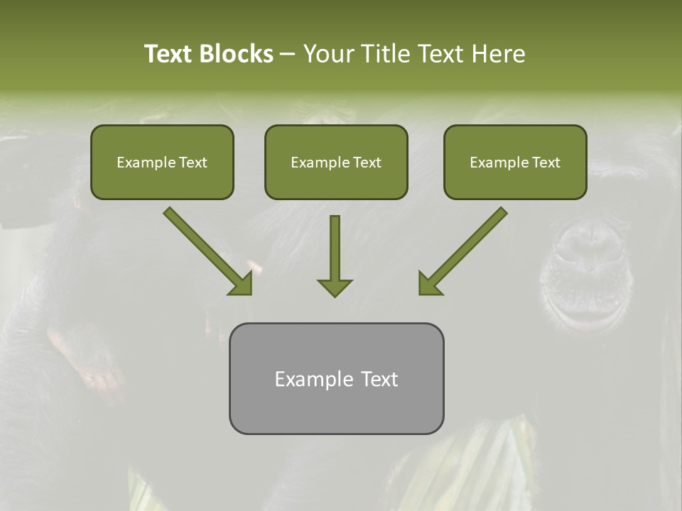 Baby Guard Outdoor PowerPoint Template