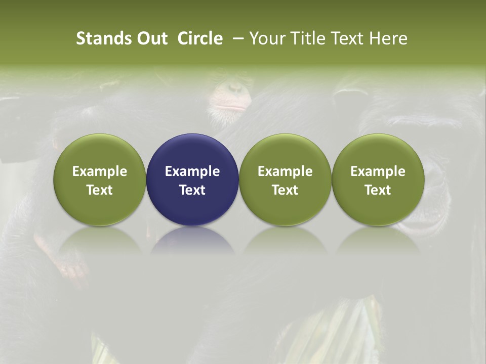 Baby Guard Outdoor PowerPoint Template