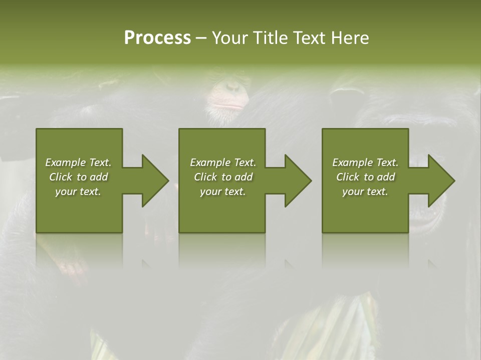 Baby Guard Outdoor PowerPoint Template