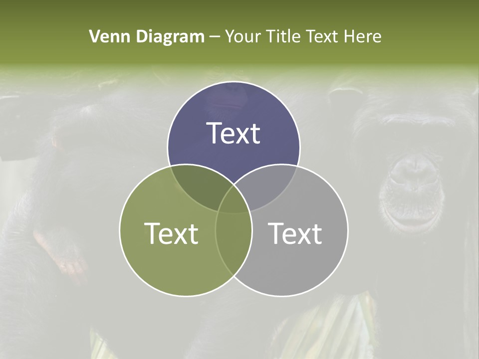 Baby Guard Outdoor PowerPoint Template