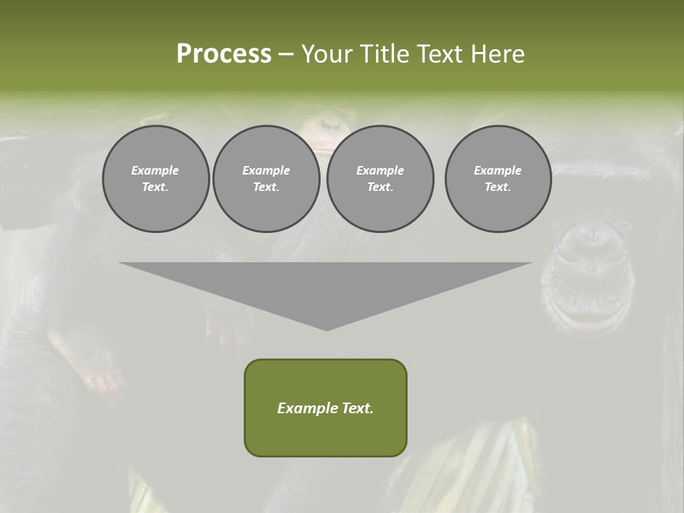 Baby Guard Outdoor PowerPoint Template