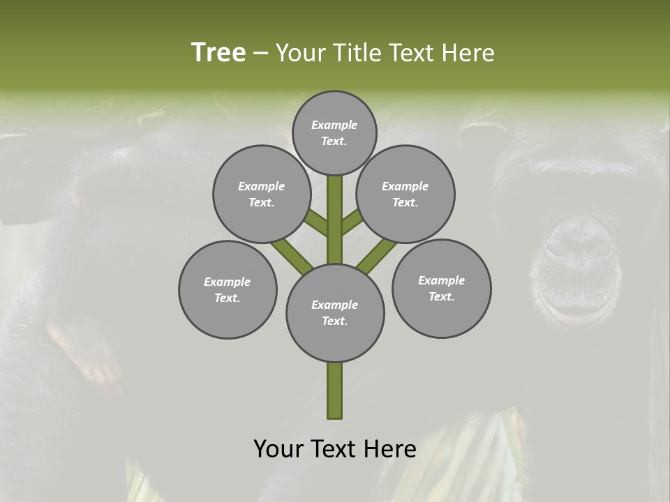 Baby Guard Outdoor PowerPoint Template