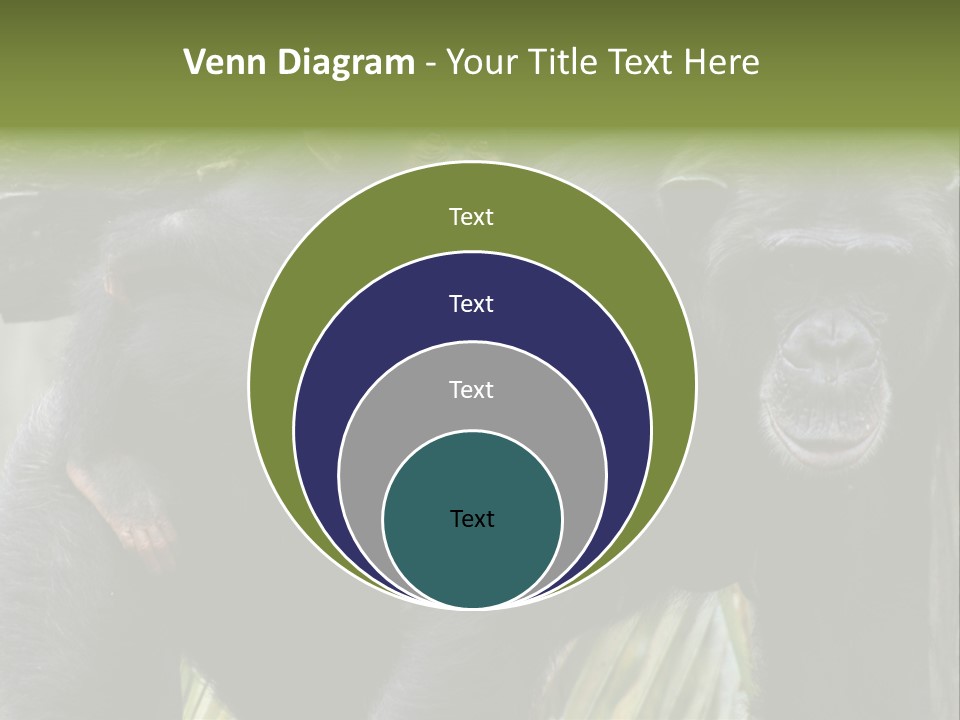 Baby Guard Outdoor PowerPoint Template