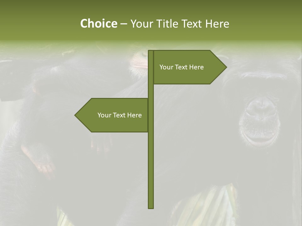 Baby Guard Outdoor PowerPoint Template