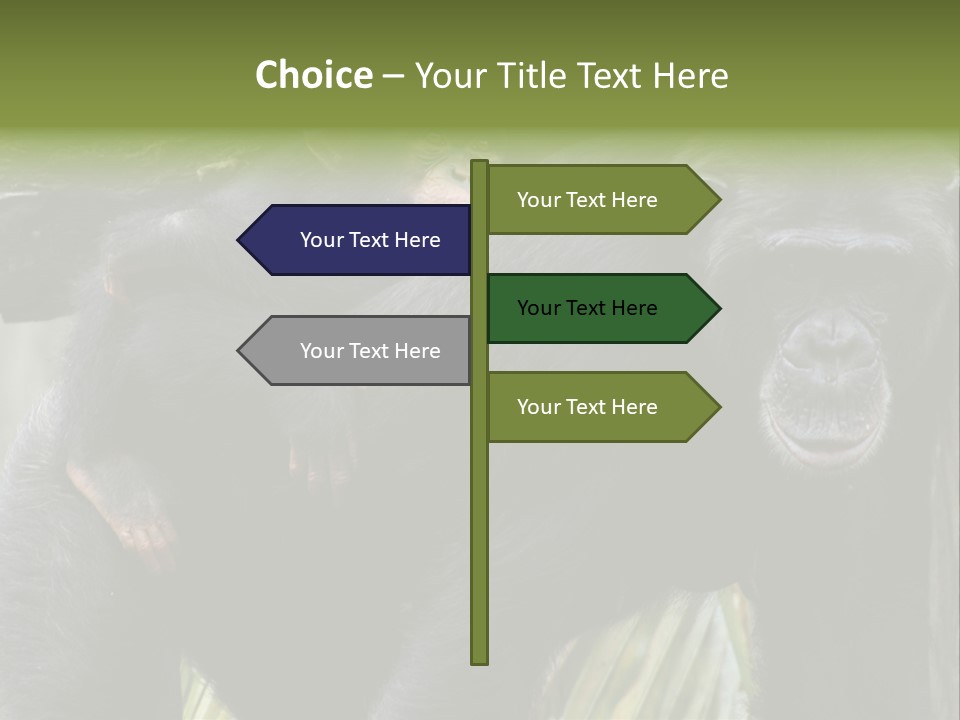 Baby Guard Outdoor PowerPoint Template