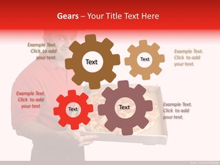 Farm Terraced Indonesia PowerPoint Template