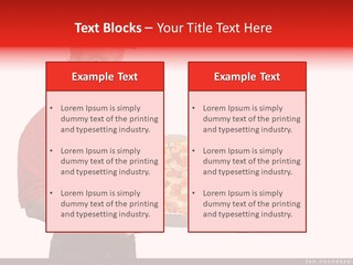 Farm Terraced Indonesia PowerPoint Template