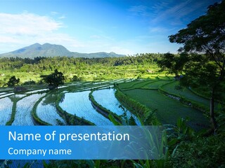 Farm Terraced Indonesia PowerPoint Template